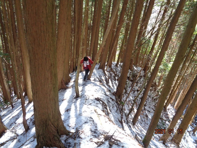 雪が降りました。根来氏と金剛山。: 奈良の爺々の山歩き。