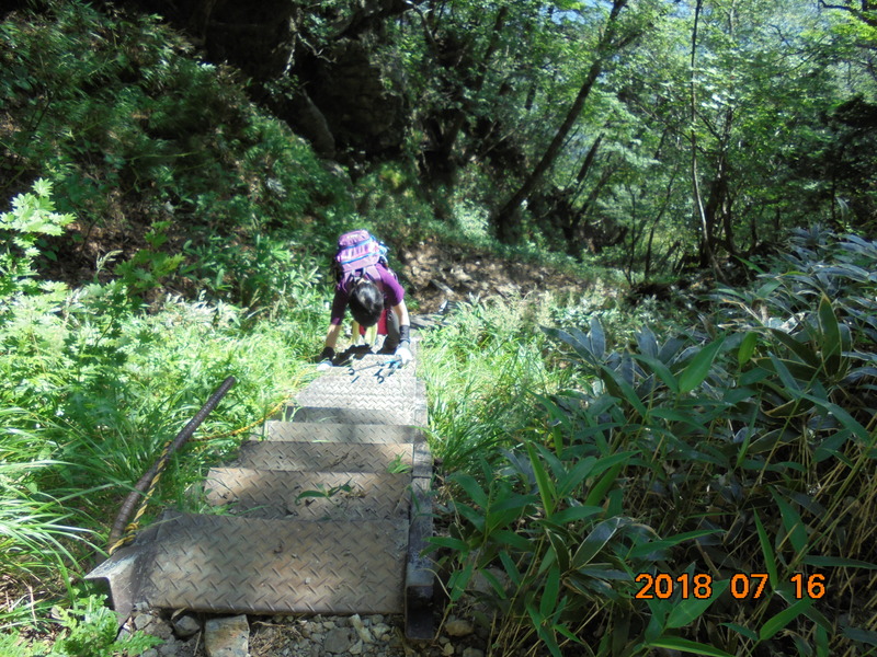 DSC00842.JPG