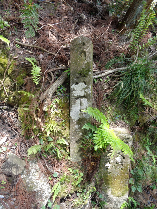 DSC00955.JPG