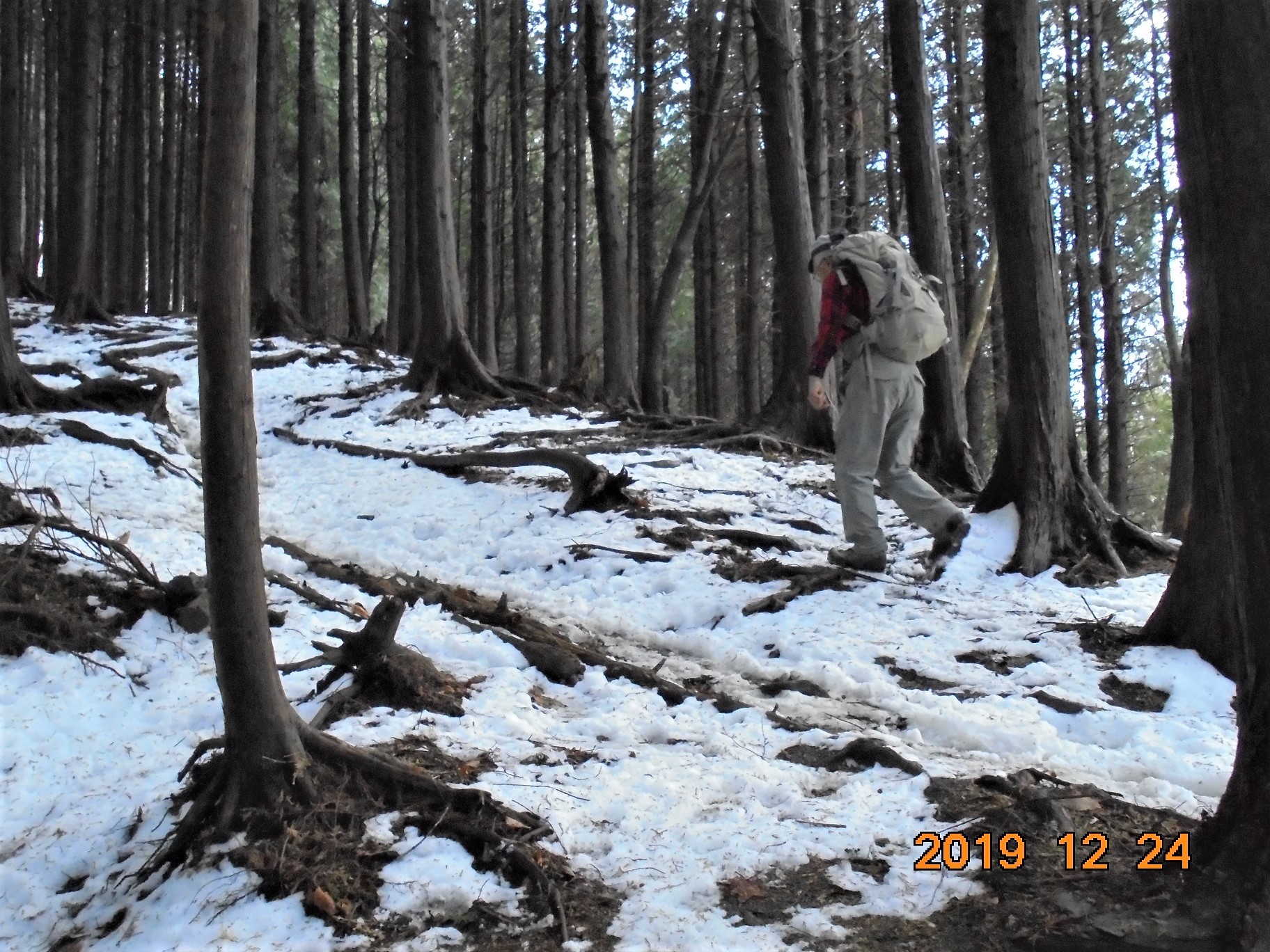 雪が降りました。根来氏と金剛山。: 奈良の爺々の山歩き。