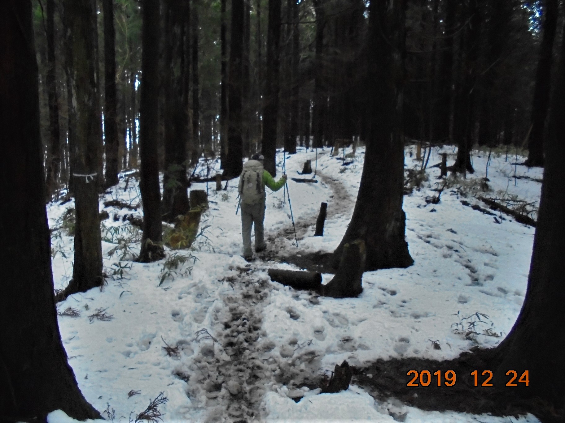 雪が降りました。根来氏と金剛山。: 奈良の爺々の山歩き。