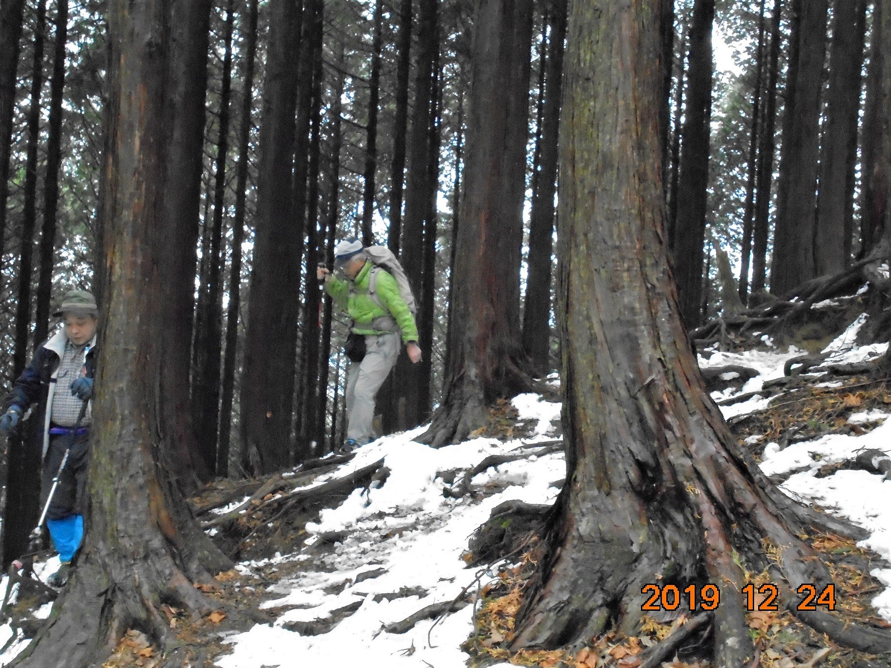 雪が降りました。根来氏と金剛山。: 奈良の爺々の山歩き。