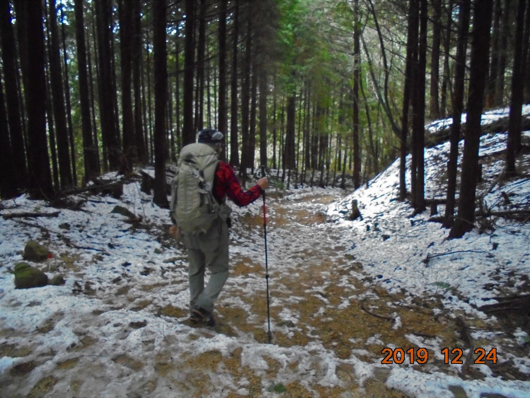 雪が降りました。根来氏と金剛山。: 奈良の爺々の山歩き。
