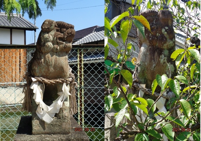 鹿島神社狛犬2体.jpg