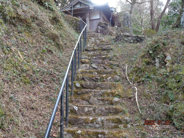 DSC02682.JPG