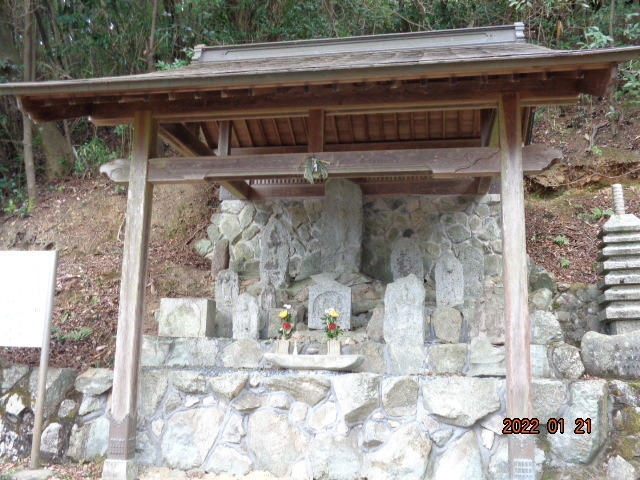 DSC02684.JPG