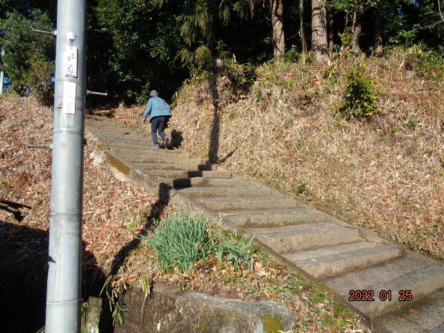 DSC02944.JPG