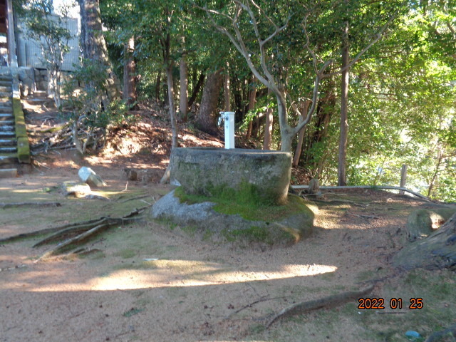 DSC02946.JPG