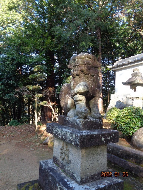 DSC02950.JPG