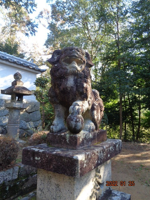 DSC02951.JPG