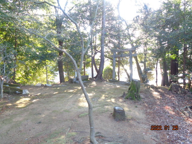 DSC02960.JPG