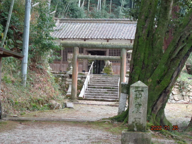 DSC03015.JPG
