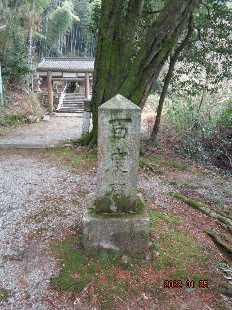 DSC03016.JPG