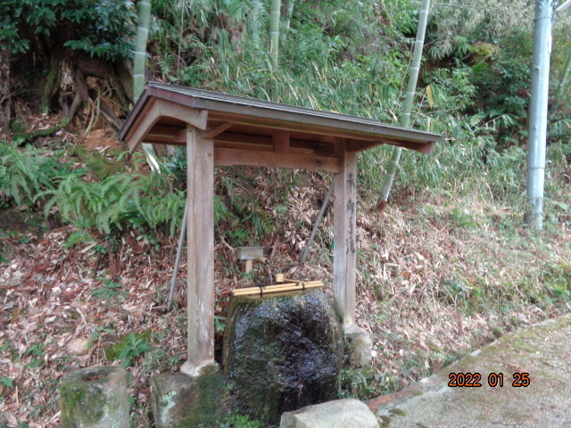 DSC03017.JPG