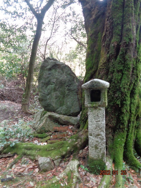 DSC03019.JPG