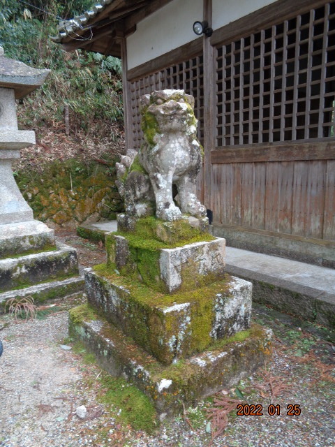 DSC03024.JPG