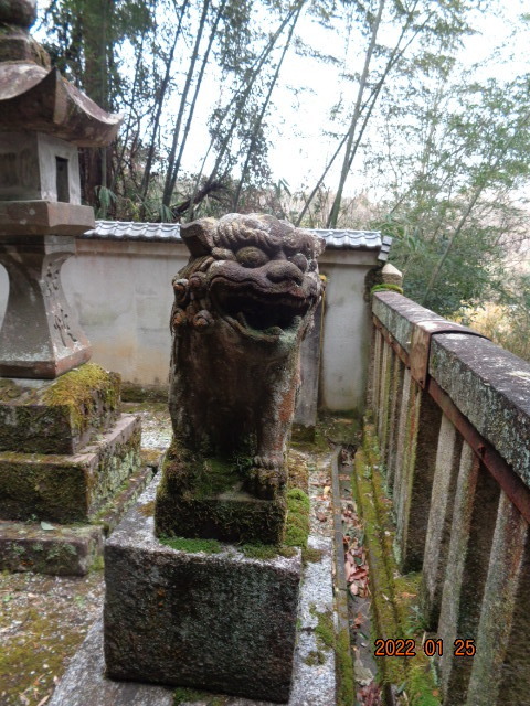 DSC03030.JPG