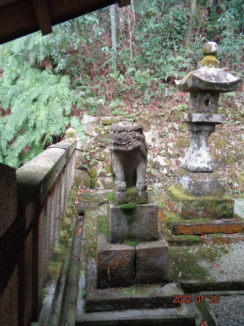 DSC03031.JPG