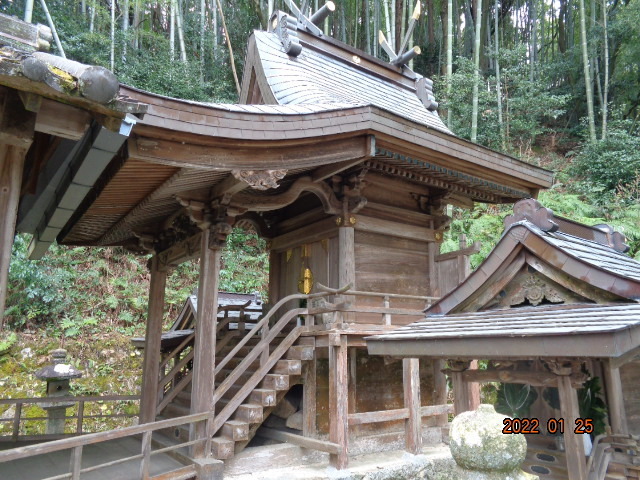 DSC03034.JPG